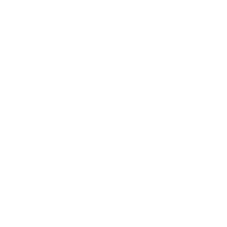 Binary Web Services – Soluciones de Software