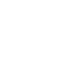 Binary Web Services – Soluciones de Software